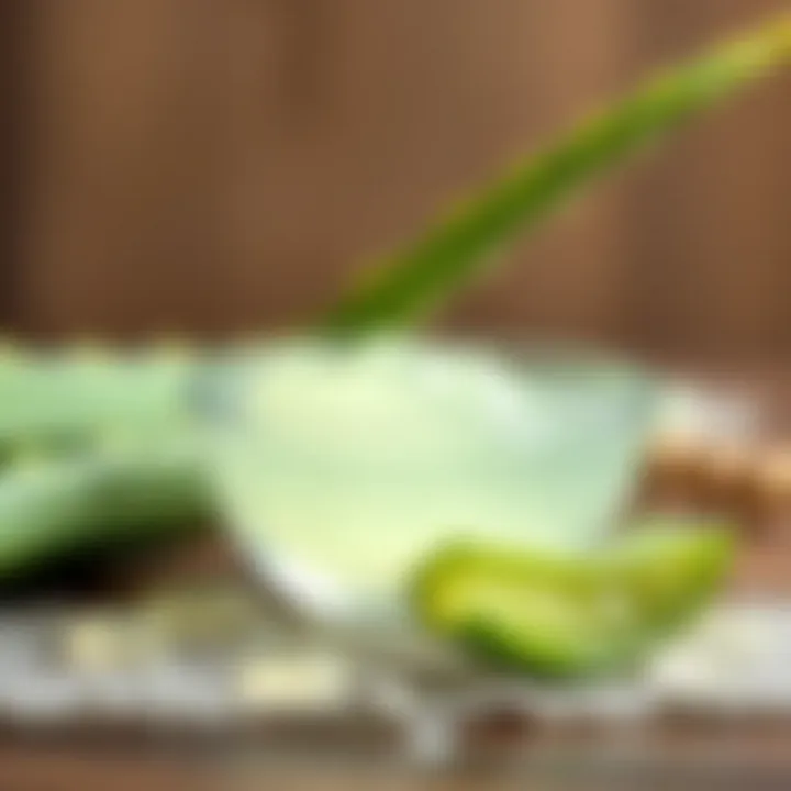 Pure Aloe Vera Gel Aloe Vera gel extracted and displayed in a bowl, highlighting its natural purity