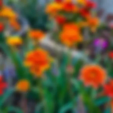 A vibrant garden with autumn plants thriving.