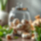 Elegant Design of Garlic Storage Container Elegant garlic storage container showcasing design