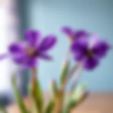 Color theory representation highlighting purple