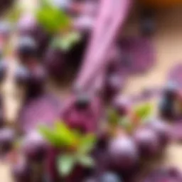 Vibrant purple dye from natural sources