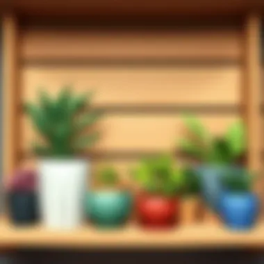 An assortment of potted plants on a wooden shelf
