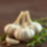Fresh garlic cloves neatly arranged