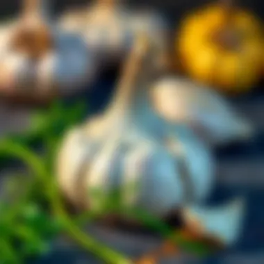 Garlic Storage Methods Garlic storage methods illustrated