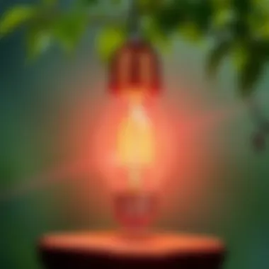 LED bulb showcasing energy efficiency with environmental graphics