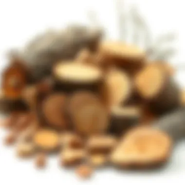Selection of various woods for crafting